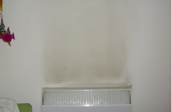 辦公室墻面養(yǎng)護(hù)、保護(hù)