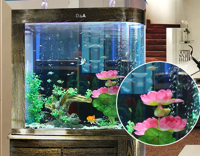 魚(yú)缸效果圖